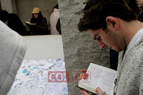 Chabbaton Ohel (2009)