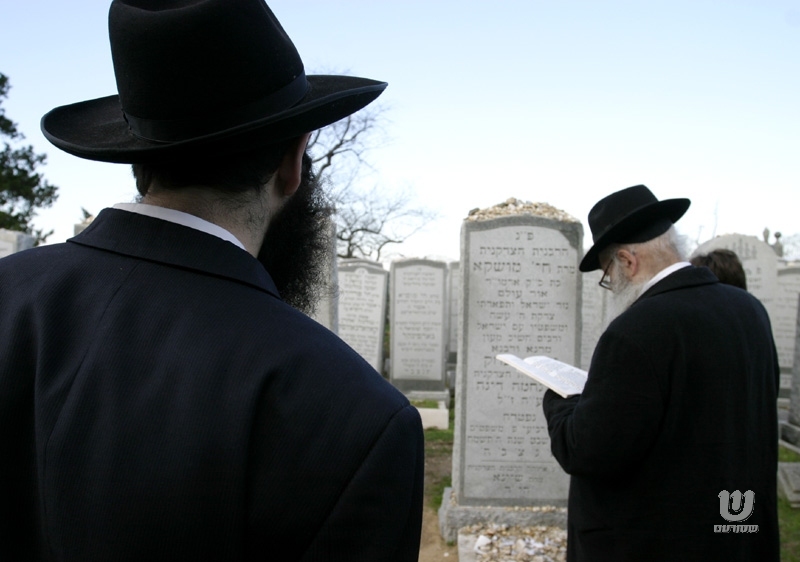 Rav Chmouel Azimov