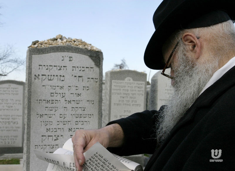 Rav Chmouel Azimov
