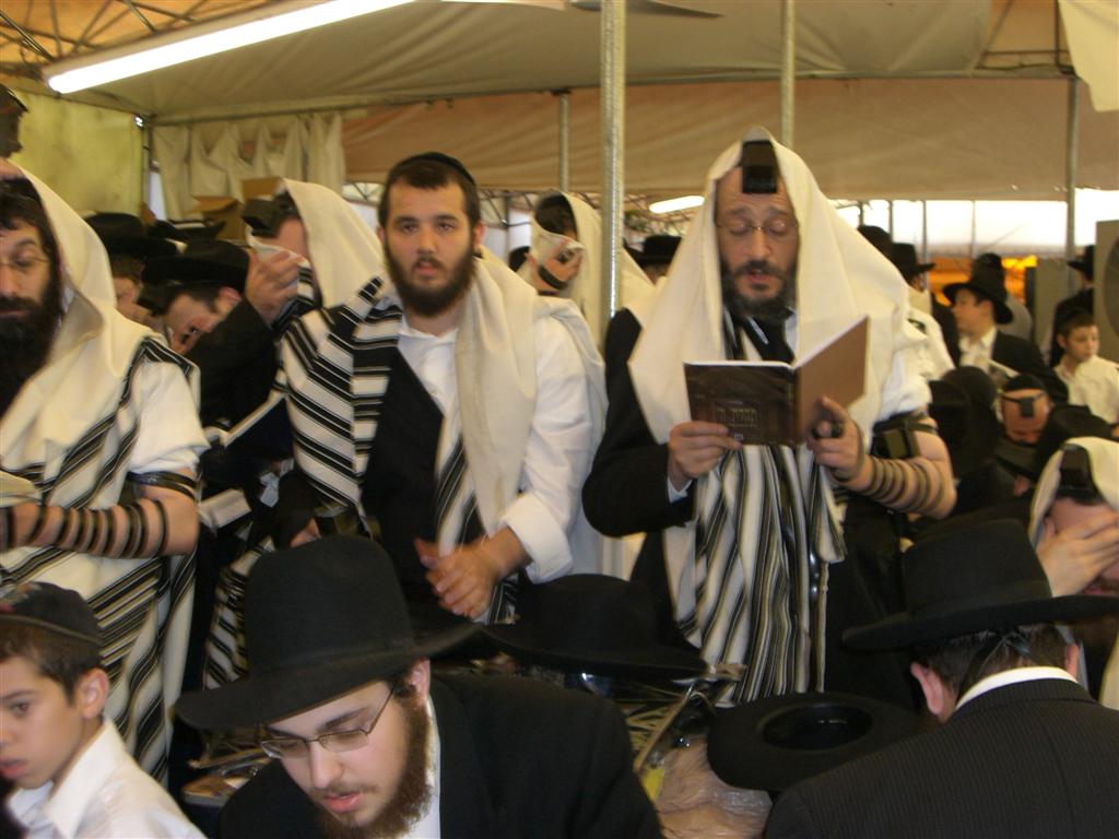 Guimel Tamouz 5767 Les français chez le Rabbi Album photos No 2