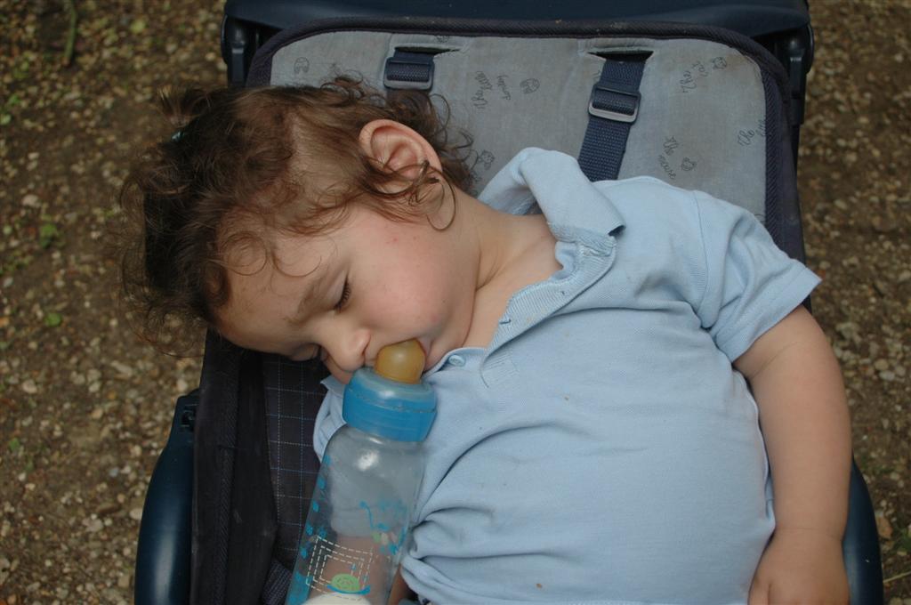 Grande fête champêtre au Heder de Yerres