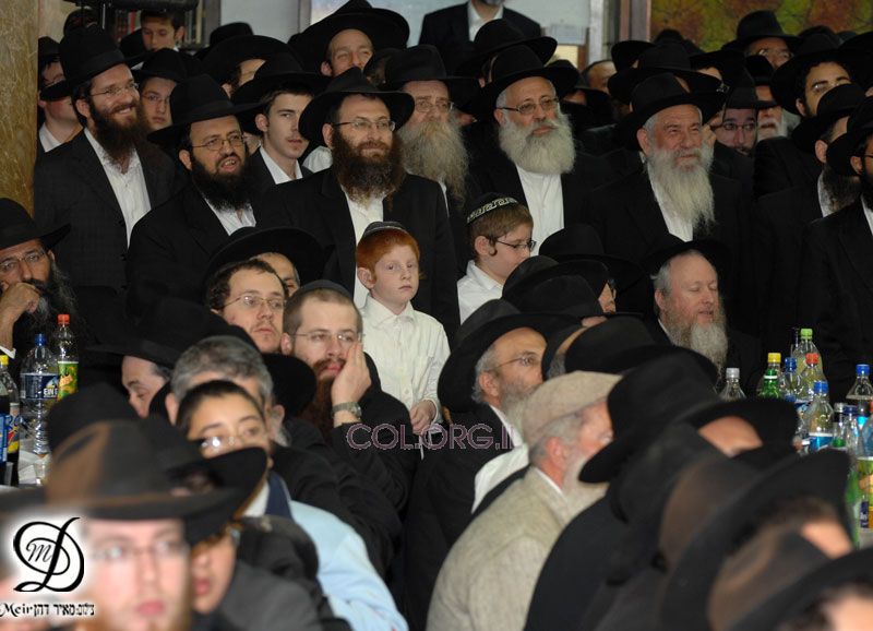 Grand rassemblement organisé à Kfar Habad par Tseirei Agudat Habad
