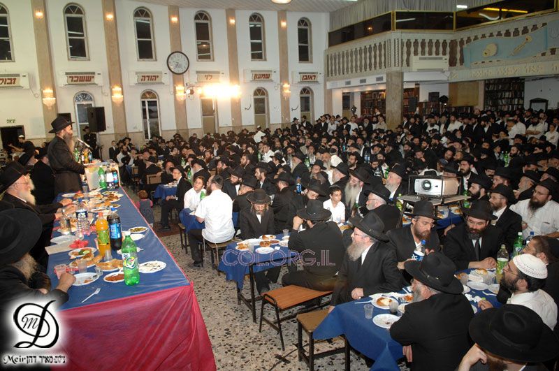 Grand rassemblement organisé à Kfar Habad par Tseirei Agudat Habad
