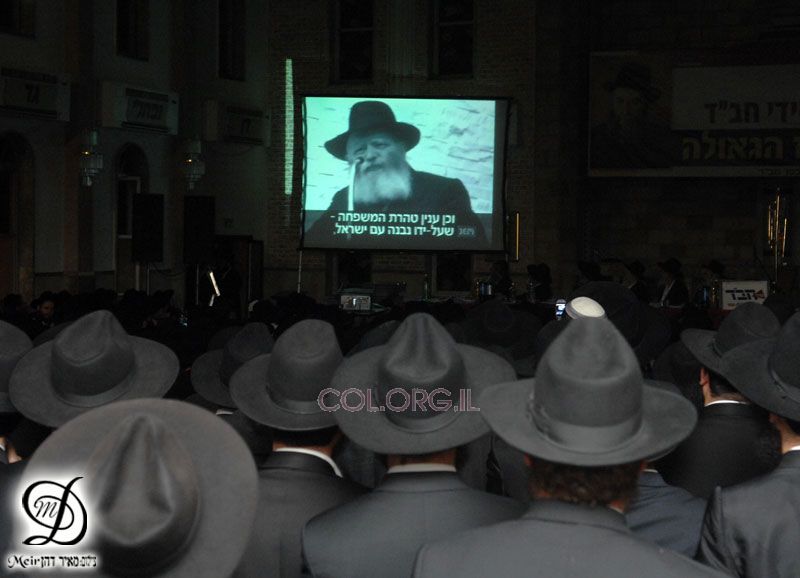 Grand rassemblement organisé à Kfar Habad par Tseirei Agudat Habad