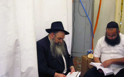 Guimel Tamouz 5765: Les français au Ohel