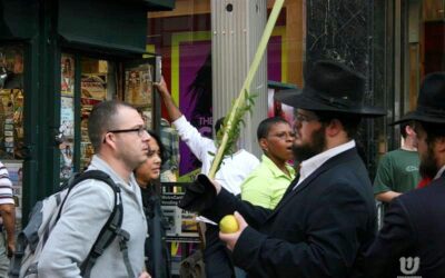MIVTSA LOULAV: Loubavitch à la conquète de Manhattan reportage photographique de Shaya Katz - shturem.net
