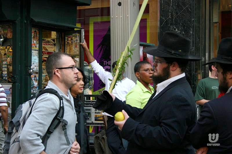 Mivtsa Loulav: Loubavitch à la conquète de Manhattan reportage photographique de Shaya Katz - shturem.net