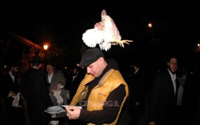 Kapparot à Crown Heights (octobre 2006)