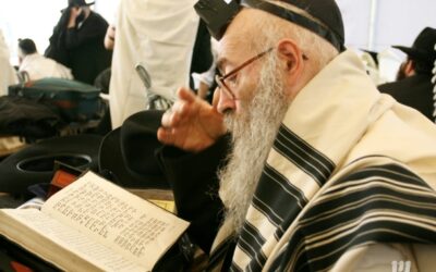 Kinous Hachlouhim 5767