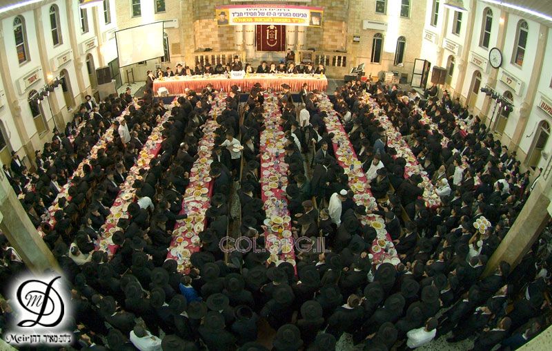 photo: Meir Dahan - col.org.il