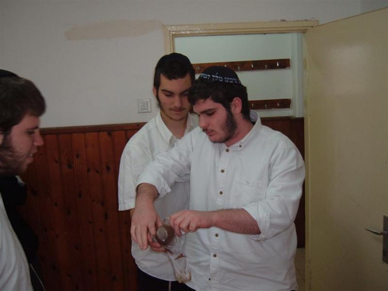 Les élèves de la Yéchiva des Bou'harim de Kfar Habad terminent leur année d'étude avec succès