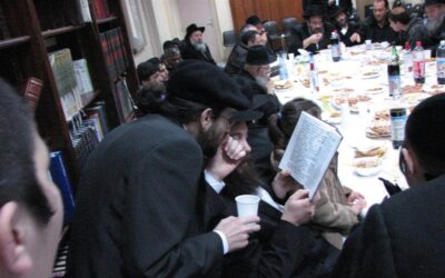Melave Malka au Beth Habad de Flandre