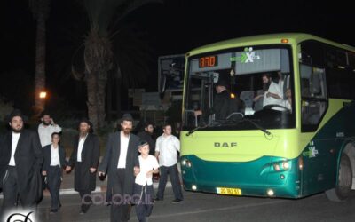 Grand rassemblement organisé à Kfar Habad par Tseirei Agudat Habad