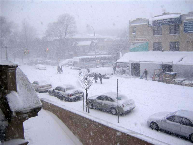 Neige New York