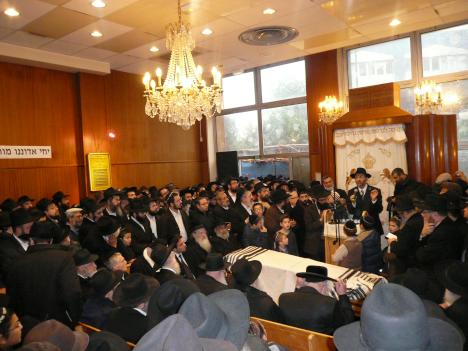 Hillel à l'école Sinaï (2008)