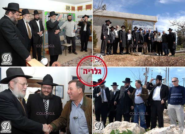 (צילום: מאיר דהן, COL)