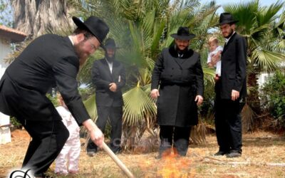Erev Pessa'h à Kfar Habad