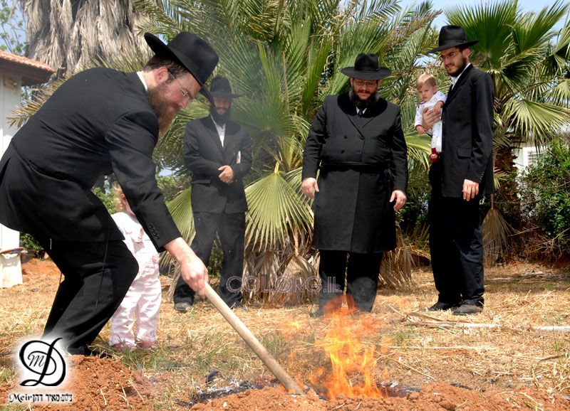 Erev Chabbat Pessa'h 5768 Kfar Habad