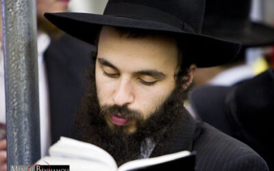 3 Tamouz 5768 à Ohel (Queens)