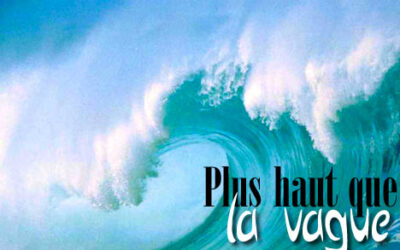 Le blog de mendel : Plus haut que la vague…