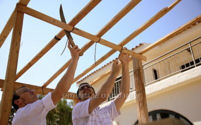 Soukkot au Beth Habad de Chypre