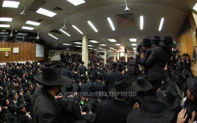 Motsaei Simhat Torah au 770