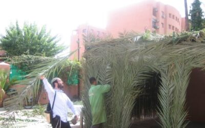Tichri à Marrakech: Mivtsaim et Simhat Beth Hachoéva