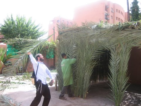 Tichri 5769 Marakech à Marrakech