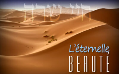 Paracha de la semaine : L'éternelle beauté