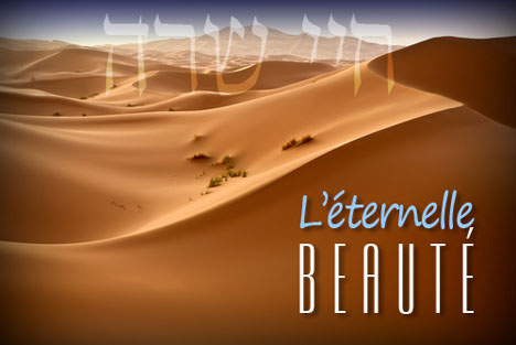 Paracha de la semaine : L’éternelle beauté