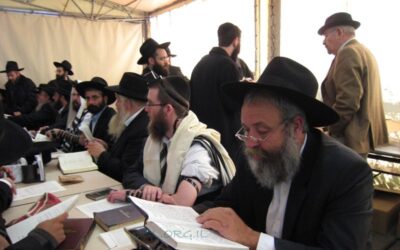 Prière à l'Ohel du Rabbi (novembre 2008)