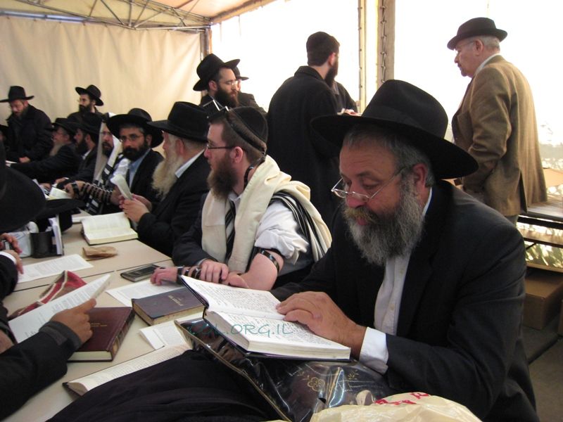 Prière à l'Ohel du Rabbi (novembre 2008)