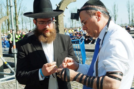 Auschwitz-Birkenau (Pologne) : La marche de la vie