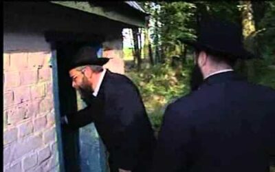 10 Kislev: l'Admour Haèmtsaï fut libéré en 5587 (1826) de son incarcération dans la ville de Vitebsk