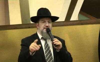 Bar Mitsva de Chalom Douber Pevzner : Discours du Rav Lousky
