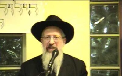 Farbrenguen du 24 Tevet à Chnéor : Rav Avraham Barouh Pevzner