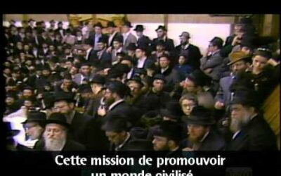 Le Rabbi et les Nations Unies
