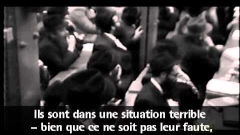 Vidéo du Rabbi : "Frères"