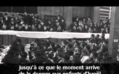 Vidéo du Rabbi : "Dites-le comme c'est !"