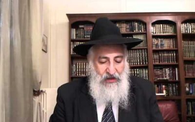 10 minutes de Tanya avec le Rav Yossef David Cohen : Chapitre 9 - 3