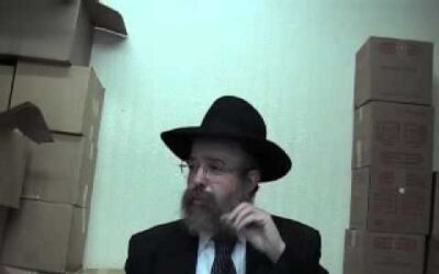 "Qu'est-ce que la Hassidout?" par le Rav Eliezer Arnauve - Cours N°2