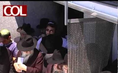 Guimel Tamouz 5771 : Vidéo de la lecture du Pan Klali par le Rav Avraham Chem Tov au Ohel