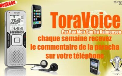 "ToraVoice" par le Rav Meir Sim'ha Kalmenson