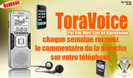 toravoice
