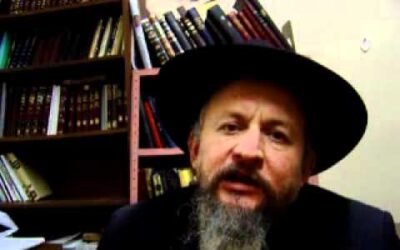VIDÉO: "Qu'est-ce que Didan Notsa'h" par le Rav Chalom Dov Ber Lewin