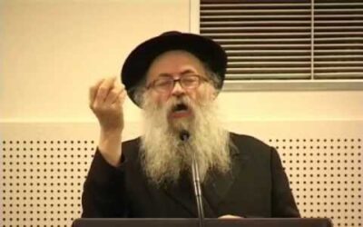 Mélavé Malka du 5 Tevet 5772 au Beth Haya Mouchka