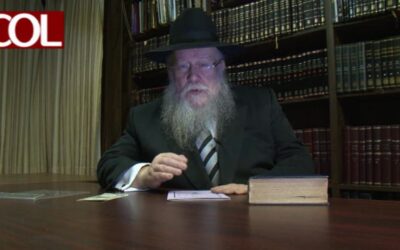 Motsaei Chabbat avec le Rav Chmouel Butman (hébreu)