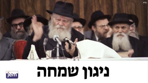 Vidéo du Rabbi : Pourim 5742 - 1982