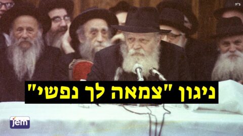Vidéo du Rabbi : "Tsama Le'ha Nafshi"