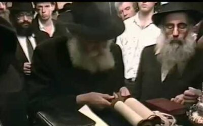 Vidéo du Rabbi : Haftara